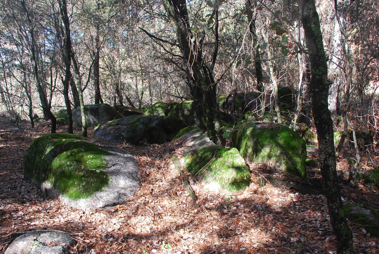 Sierra Trails Inn Mariposa Bagian luar foto
