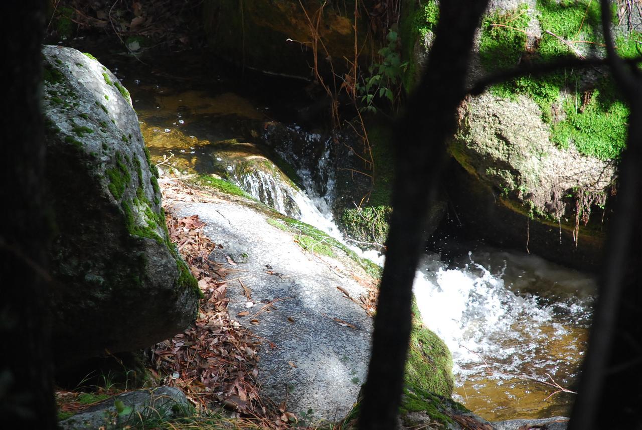 Sierra Trails Inn Mariposa Bagian luar foto